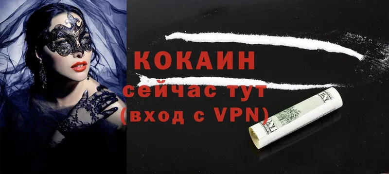 где найти   Великий Устюг  Cocaine 99% 